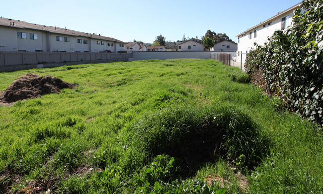 Laurel Street Apartments in Lakeside, CA - Building Photo - Building Photo