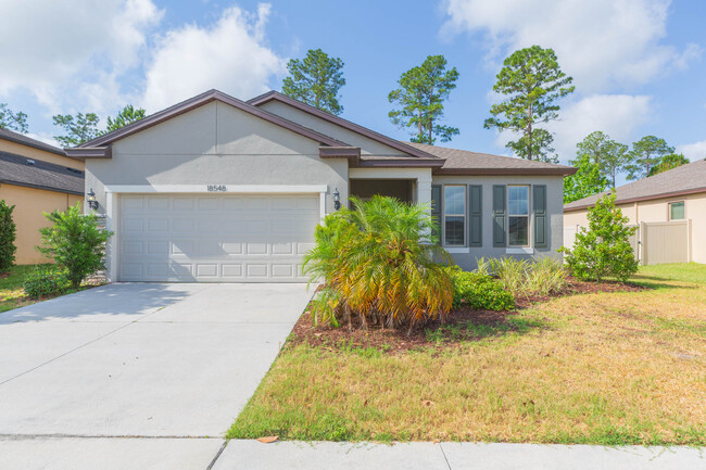 18548 Rococo Rd in Spring Hill, FL - Building Photo - Building Photo