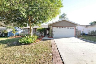 1429 Piney Branch Cir in Valrico, FL - Building Photo