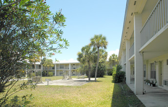 Tara House Apartments in Tampa, FL - Building Photo - Building Photo