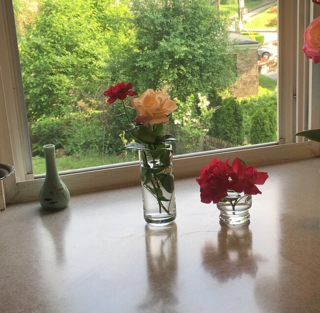 5463 Fair Oaks St in Pittsburgh, PA - Building Photo - Building Photo