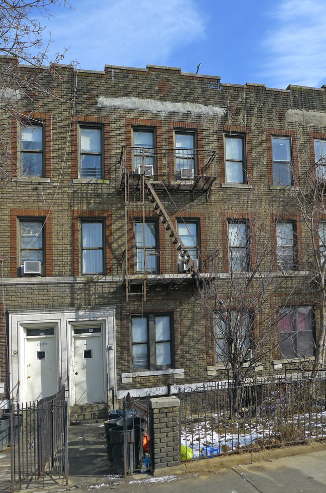 1243 36th St in Brooklyn, NY - Building Photo - Building Photo