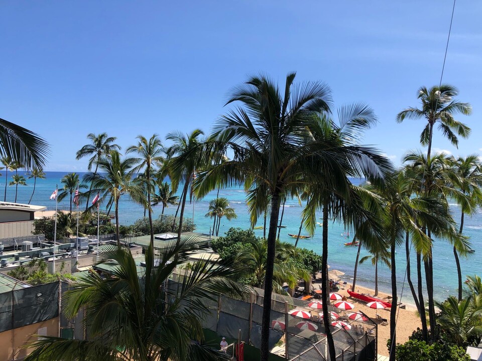 2895 Kalakaua Ave in Honolulu, HI - Building Photo