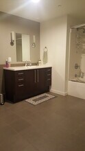 161 Saint Paul St, Unit 1 in Burlington, VT - Building Photo - Building Photo