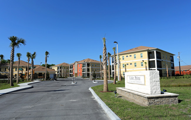 Cedar Pointe Apartments in Tampa, FL - Building Photo - Building Photo