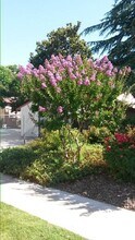034 - Westwood Trees in Chico, CA - Foto de edificio - Interior Photo