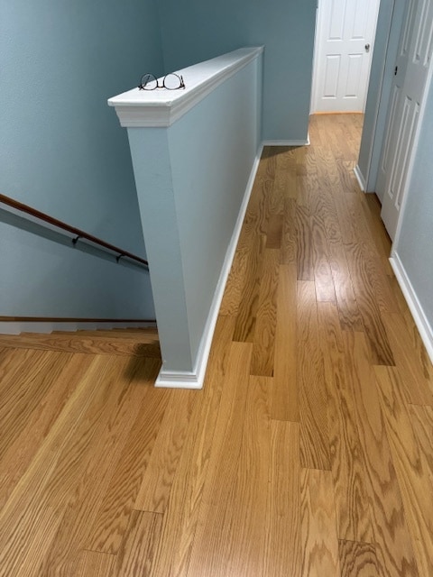 8725 Turnstone Haven Pl in Tampa, FL - Building Photo - Building Photo