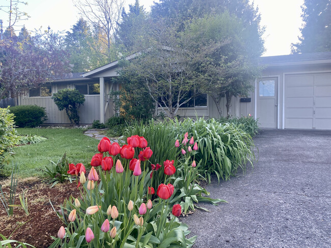 property at 305 Rustic Pl