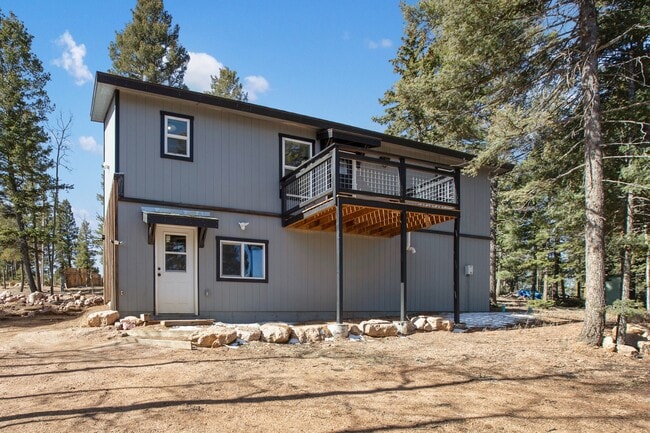 69 Mt Powderhorn Rd in Florissant, CO - Building Photo - Building Photo
