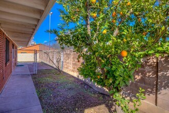 417 E Jacinto St in Tucson, AZ - Building Photo - Building Photo