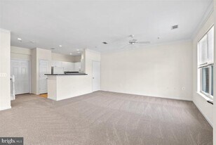 11375 Aristotle Dr in Fairfax, VA - Building Photo