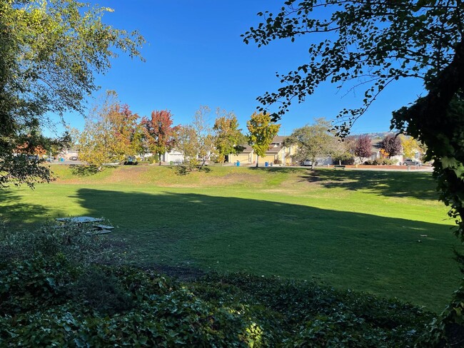1717 Algol Ct in Petaluma, CA - Building Photo - Building Photo