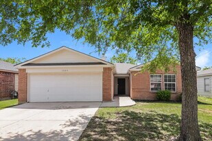 1009 Springcreek Dr in Denton, TX - Building Photo