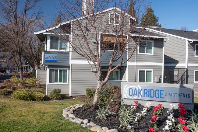 Oak Ridge Apartments in Sacramento, CA - Building Photo - Building Photo