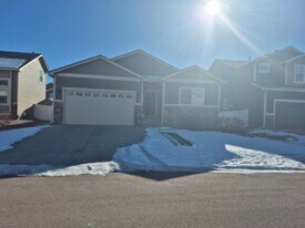 8253 Wagon Spoke Trl in Fountain, CO - Building Photo