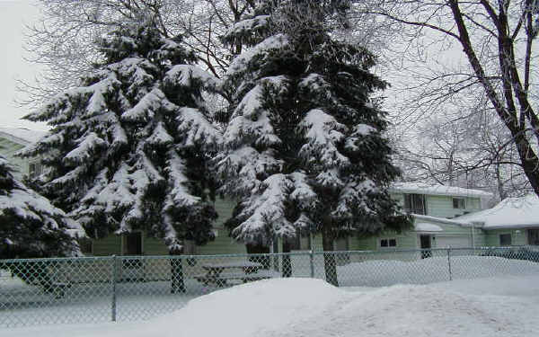 301 Barr Elm Ave in Joliet, IL - Building Photo