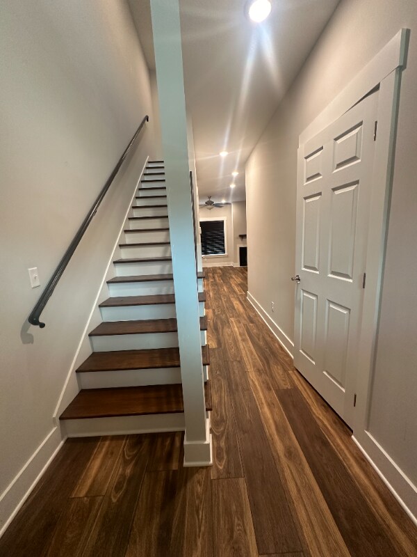 4408 Shelborne Dr in Chattanooga, TN - Foto de edificio - Building Photo