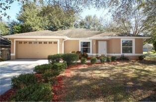 305 Garden Oak Ct in Apopka, FL - Building Photo