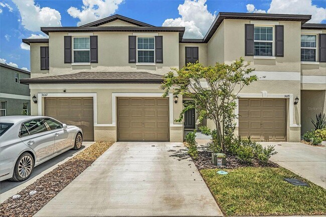 36171 Risa Michele St in Zephyrhills, FL - Building Photo - Building Photo