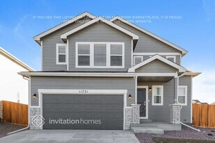 11731 Mission Peak Pl in Colorado Springs, CO - Building Photo