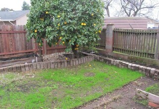 3144 Portsmouth Dr in Rancho Cordova, CA - Building Photo - Building Photo