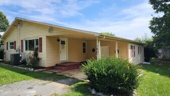 160 Brandonwood Dr in Johnson City, TN - Building Photo