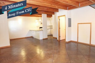 209 W Mulberry St in Fort Collins, CO - Building Photo