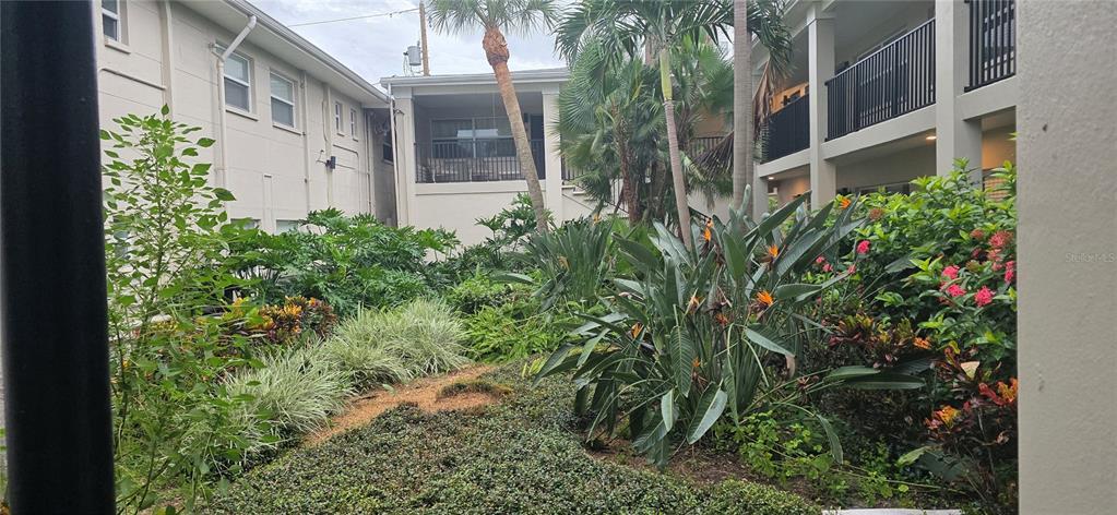 224 6th Ave N in St. Petersburg, FL - Foto de edificio