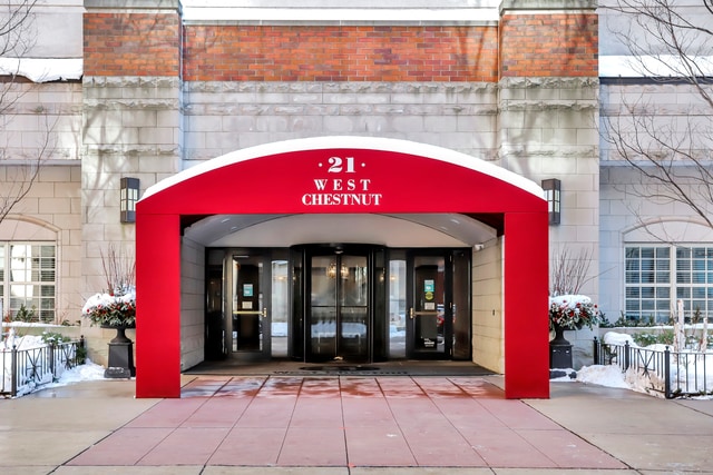 21 W Chestnut St in Chicago, IL - Building Photo - Building Photo