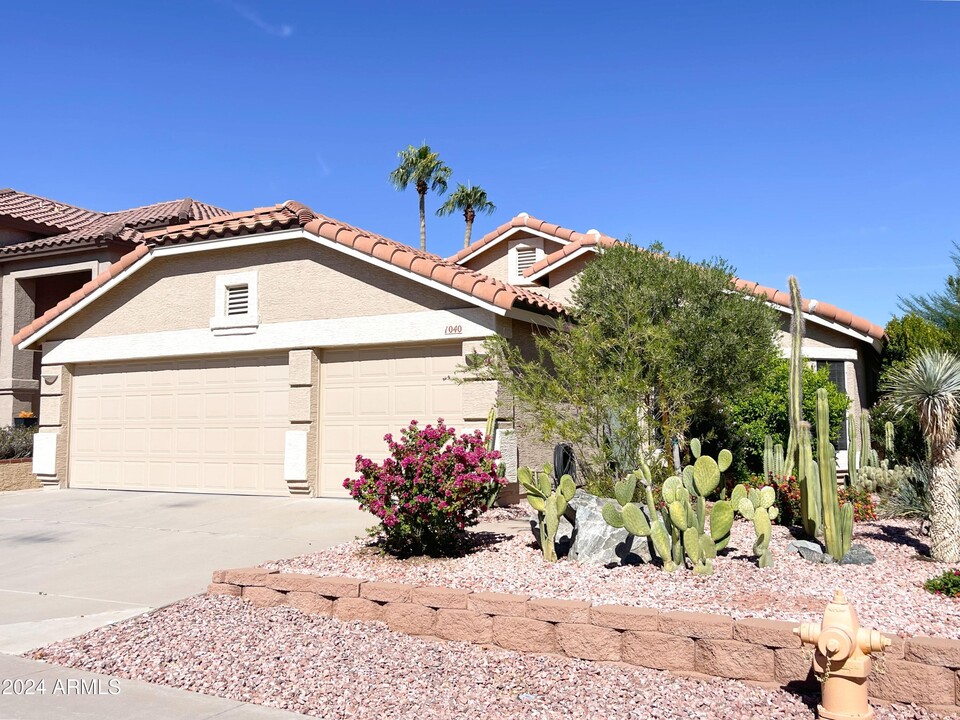 1040 E Silverwood Dr in Phoenix, AZ - Foto de edificio