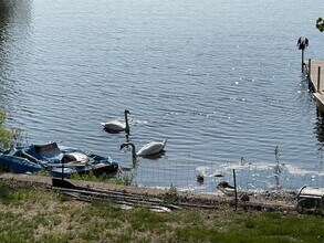 25 Sturges Rd in Sharon, MA - Building Photo - Building Photo