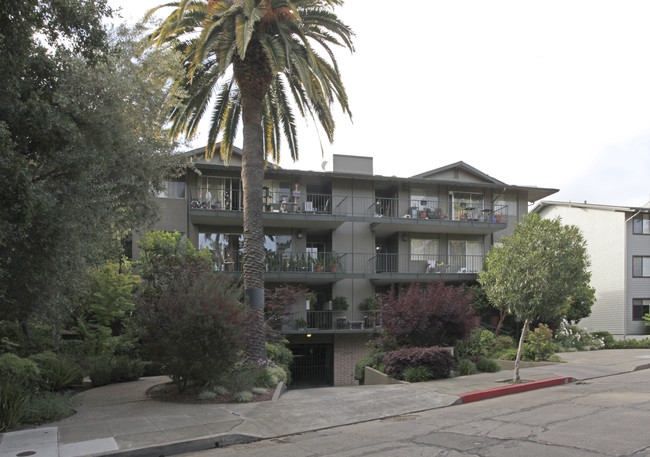 Roble Vista Apartments in Palo Alto, CA - Building Photo - Building Photo