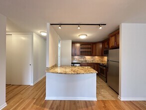 1442 N Dearborn St, Unit A13 in Chicago, IL - Foto de edificio - Building Photo