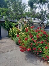 7917 Hale Way in White City, OR - Building Photo - Building Photo