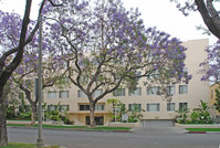 Royal Palm in Beverly Hills, CA - Foto de edificio - Building Photo