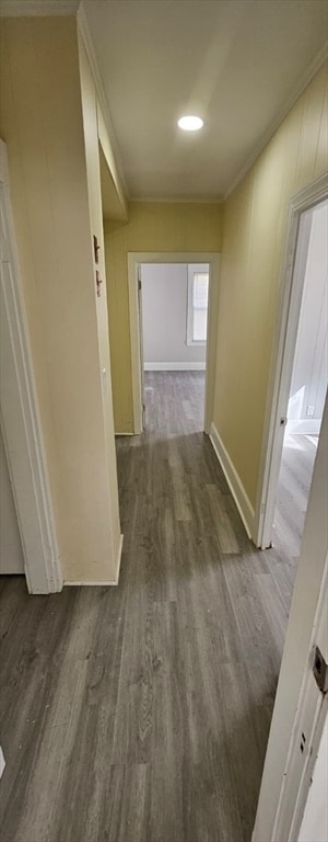 79 Sprague St in Dedham, MA - Building Photo - Building Photo