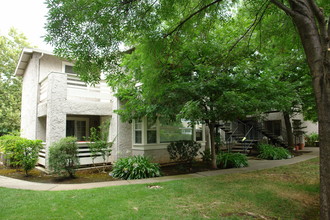 Forest Avenue Apartments in Chico, CA - Building Photo - Building Photo