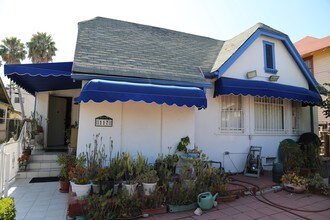 117 S Hoover St in Los Angeles, CA - Foto de edificio - Building Photo