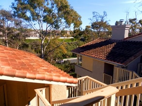 16 Corniche Dr in Dana Point, CA - Foto de edificio - Building Photo