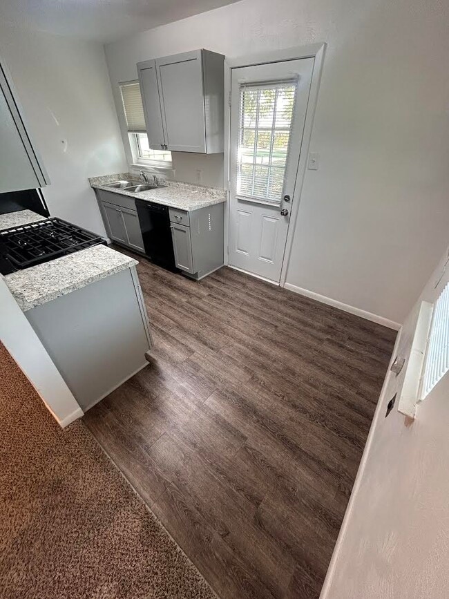 718 Sunny Ln in Irving, TX - Building Photo - Building Photo