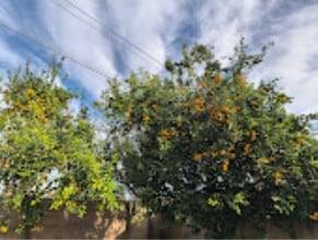 7800 Fairchild Ave in Los Angeles, CA - Building Photo - Building Photo