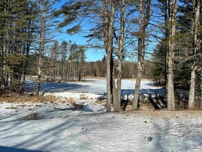 35 Stevens Rd in Cavendish, VT - Building Photo - Building Photo