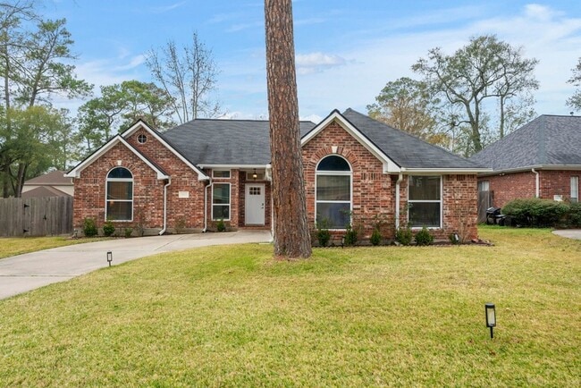 25003 Burgh Castle Dr in Spring, TX - Foto de edificio - Building Photo