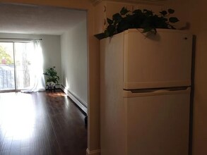 17 Silvestri Cir in Derry, NH - Building Photo - Building Photo