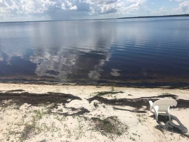 6077 E Hwy 98 in Panama City, FL - Building Photo - Building Photo