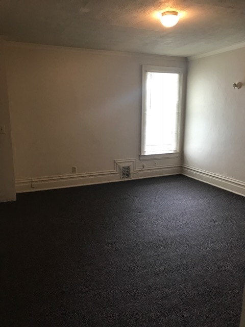 1010 W Ionia St, Unit 1010 West Ionia in Lansing, MI - Building Photo - Building Photo