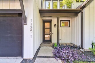 1125 Saucedo St in Austin, TX - Building Photo - Building Photo
