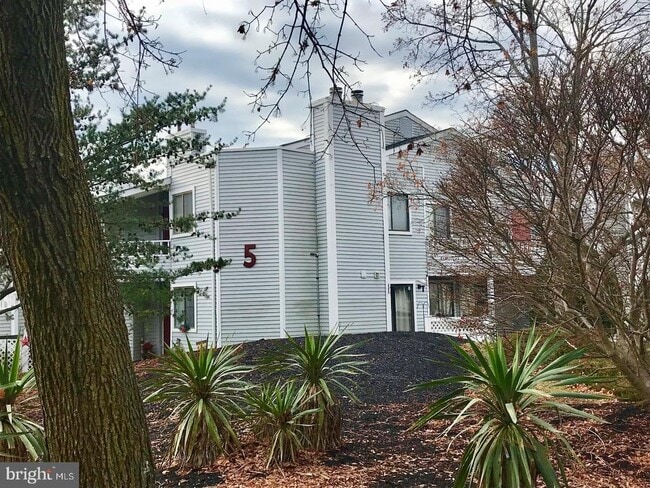 property at 506 Shelby Ct