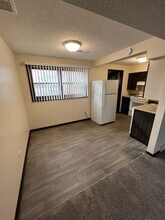 323 E Wall Ave in Des Moines, IA - Building Photo - Building Photo