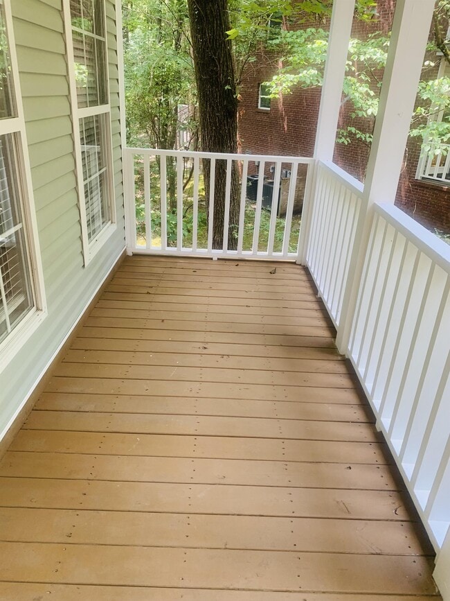 517 Lee Cove in Oxford, MS - Building Photo - Building Photo